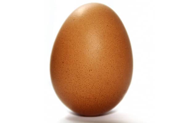 Image du sujet